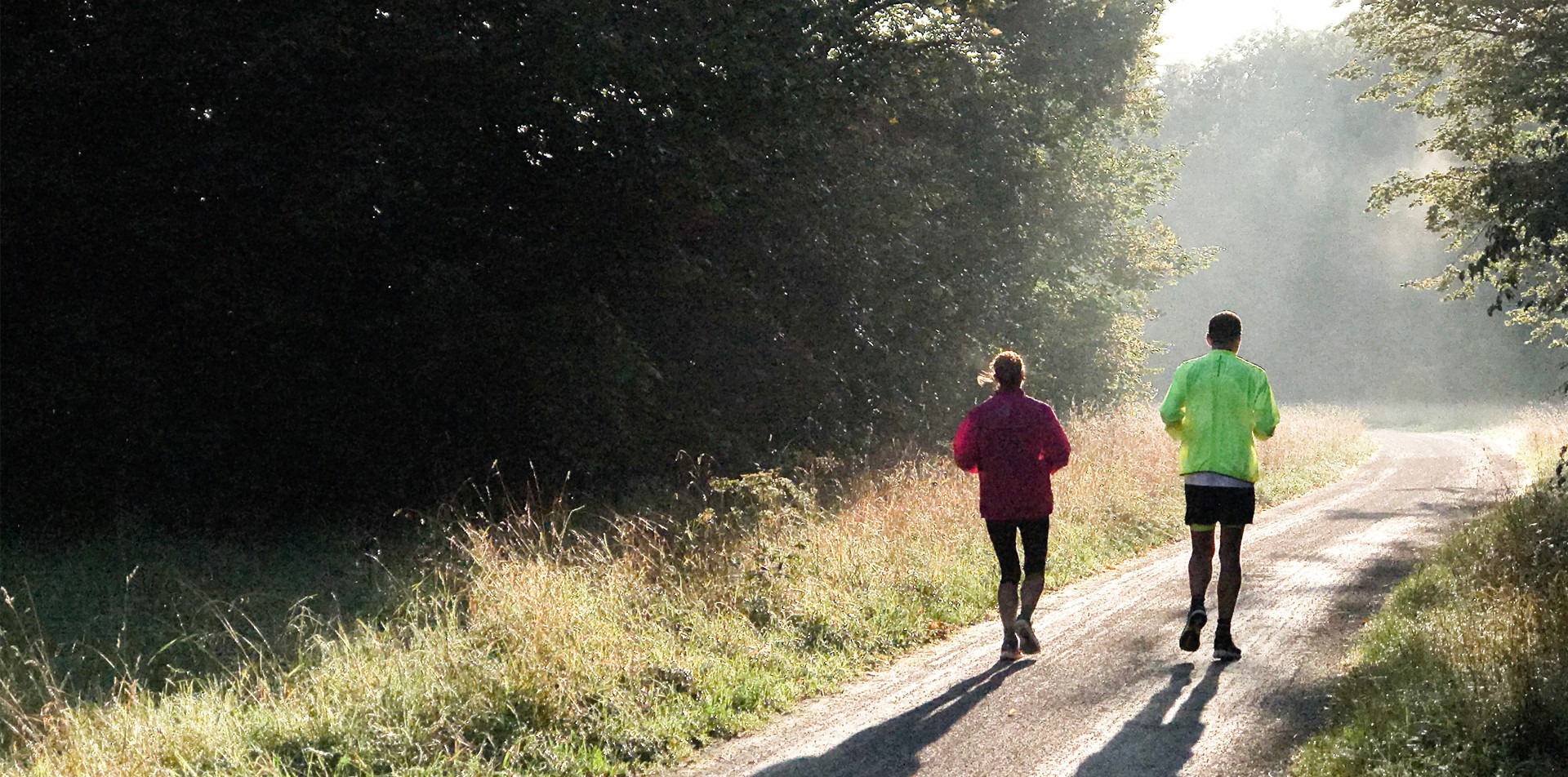 Zwei Menschen joggen einen Waldweg entlang